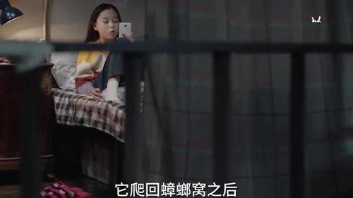 爆料小孩姐姐視頻播放下載,小孩姐姐視頻播放下載背后的真相