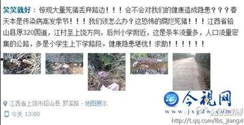 鉛山最新爆料事件,揭秘事件背后驚人真相