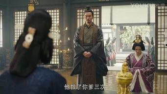 軍師聯(lián)盟42集在線觀看,謀略巔峰，智斗風(fēng)云再起